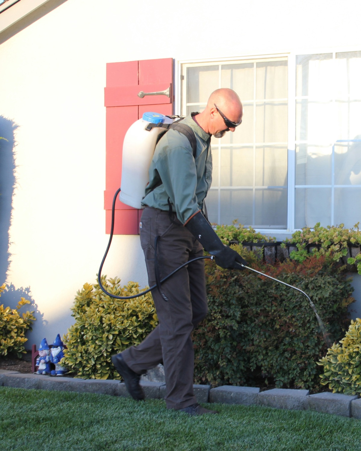 Pest control technician treating the exterior of a home with a backpack sprayer